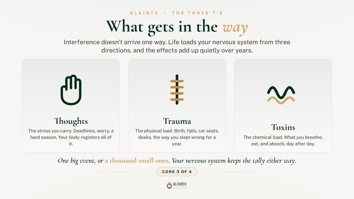 What Nervous-System Interference Actually Is