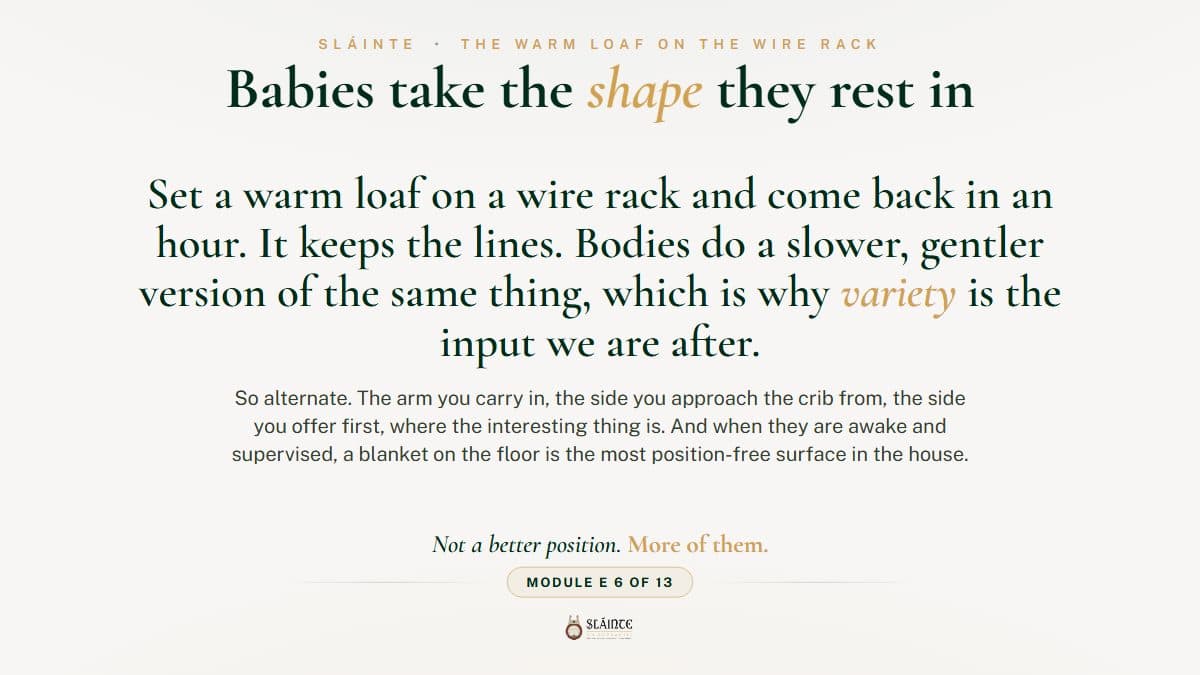 Why Do Babies Take the Shape They Rest In?