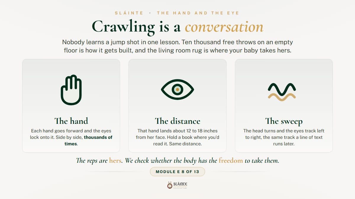 Why Crawling Matters for a Baby's Development