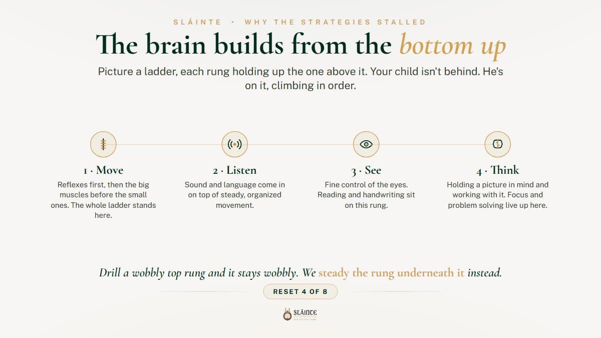 Why Does the Brain Build Skills From the Bottom Up?